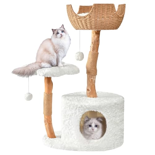 Contemporary Cat Condo