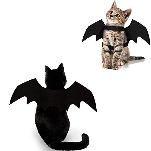 Costume Cats