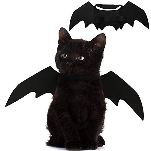 Costume for Cat