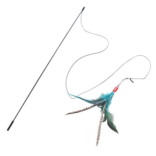 Da Bird Cat Toys