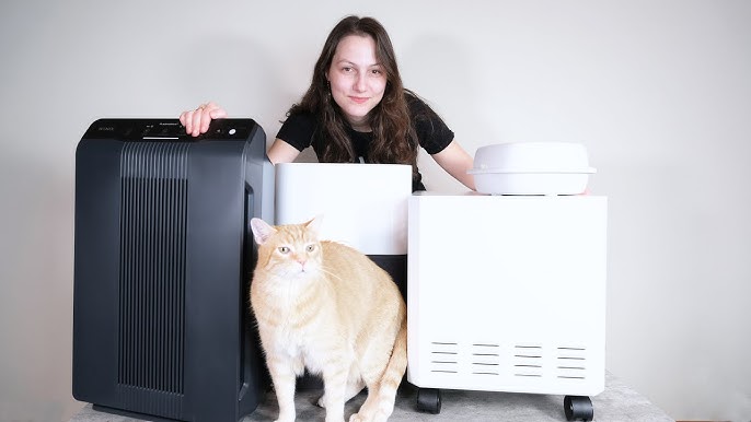 Do Air Purifiers Help With Cat Hair