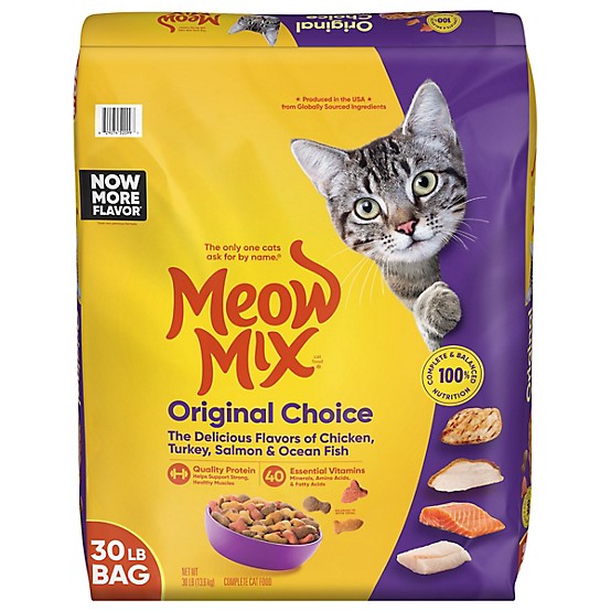 Does Cat Food Make Dogs Sick