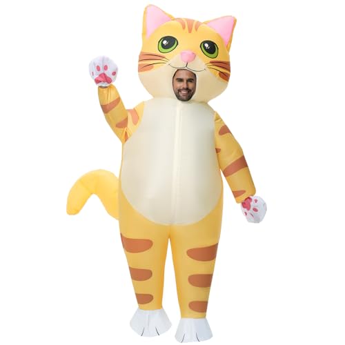 Funny Cat Costume