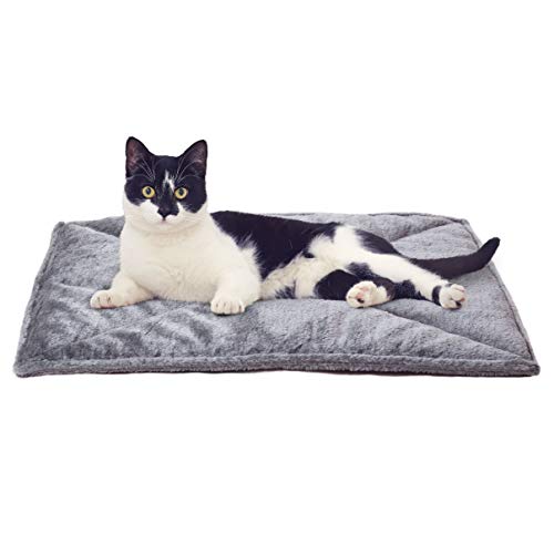 Gifts for Older Cats
