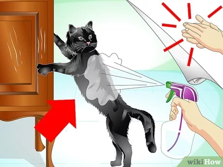 How Do I Train My Cat Not to Scratch Furniture