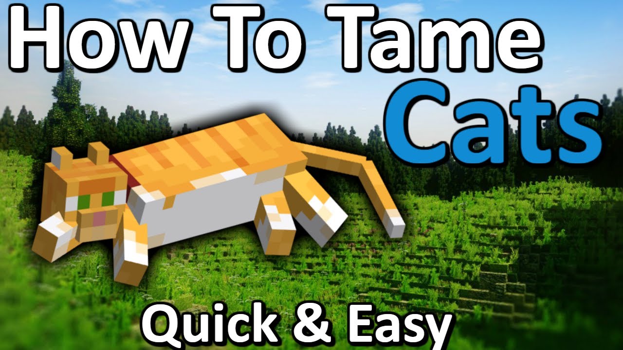How Do You Get a Pet Cat on Minecraft