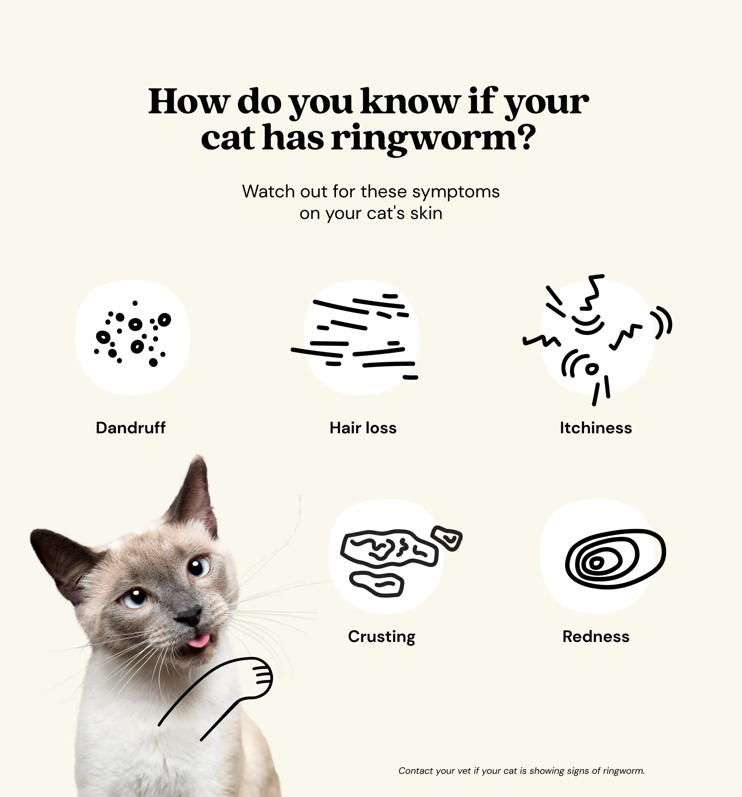 How Do You Treat Ringworm in Cats