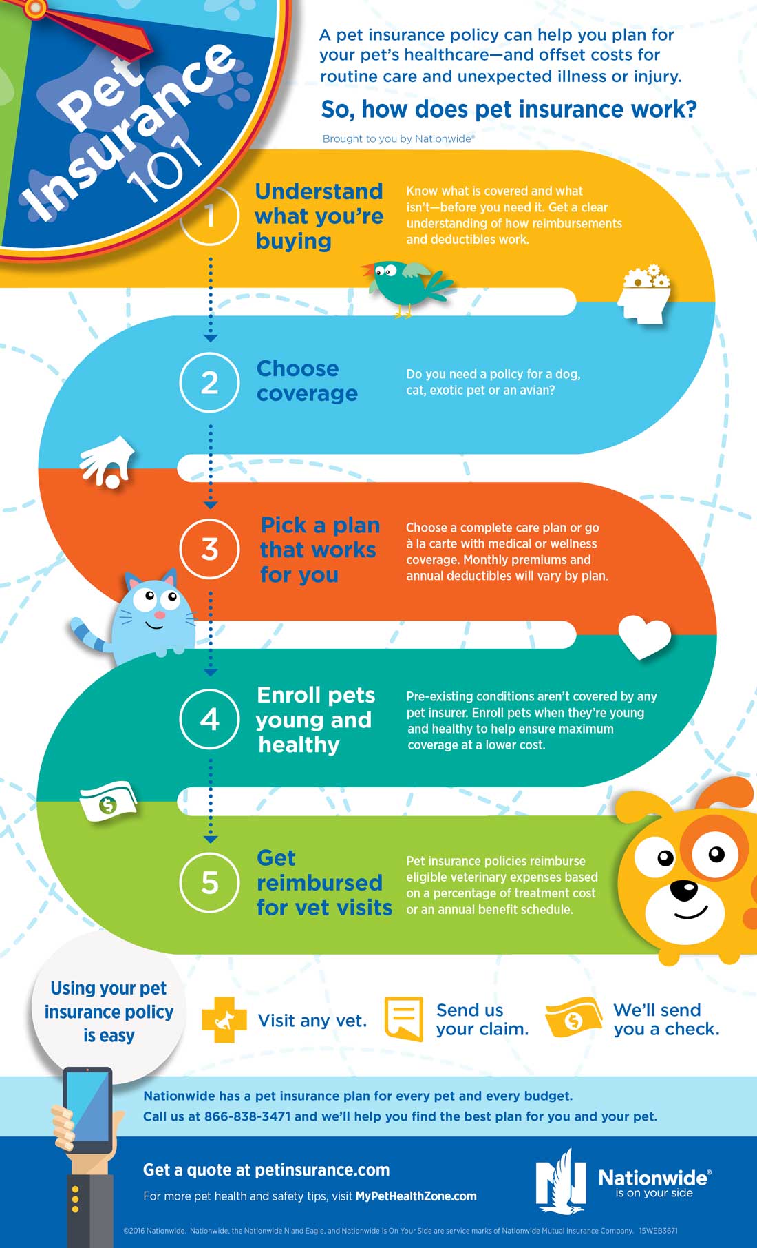 How Does Cat Insurance Work: A Simple Guide