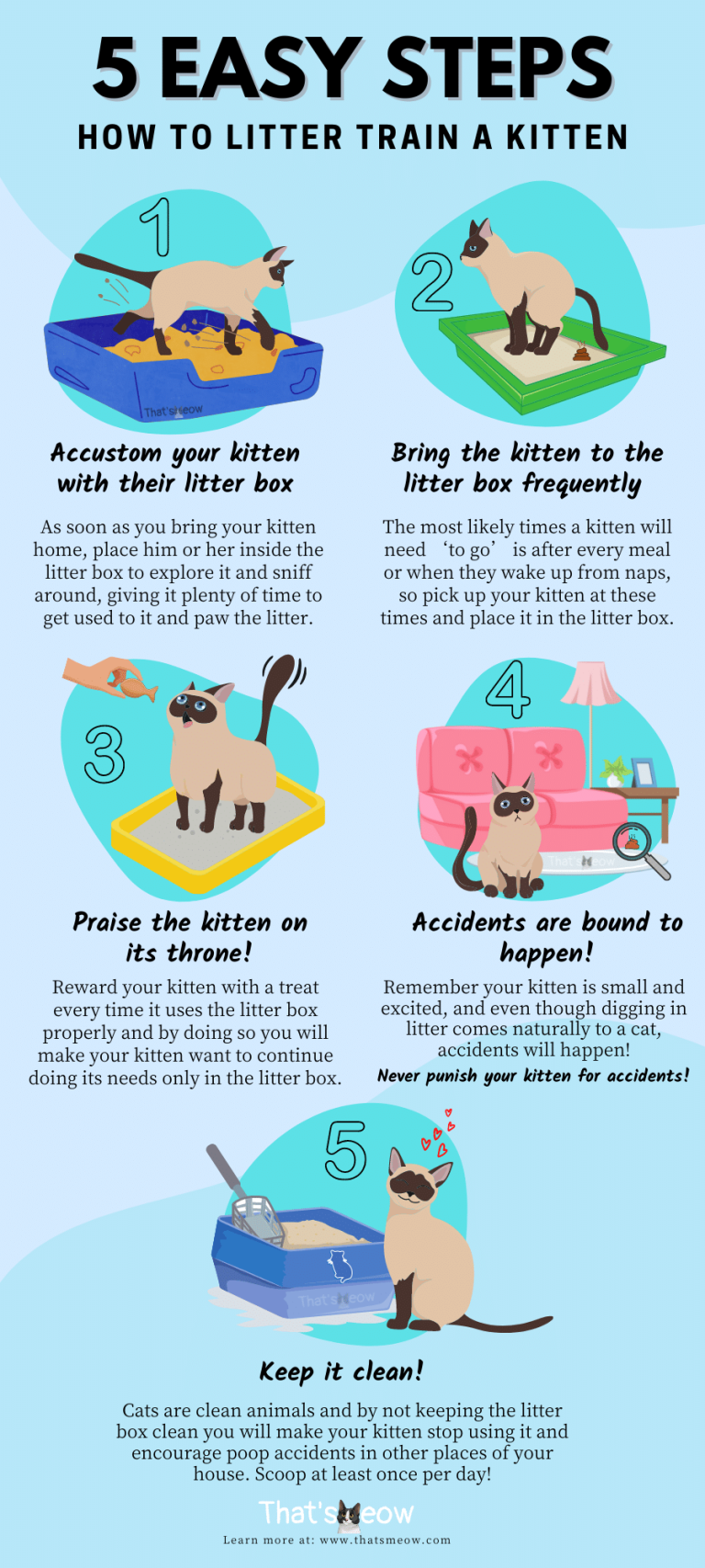 How Long Does It Take to Litter Train a Cat