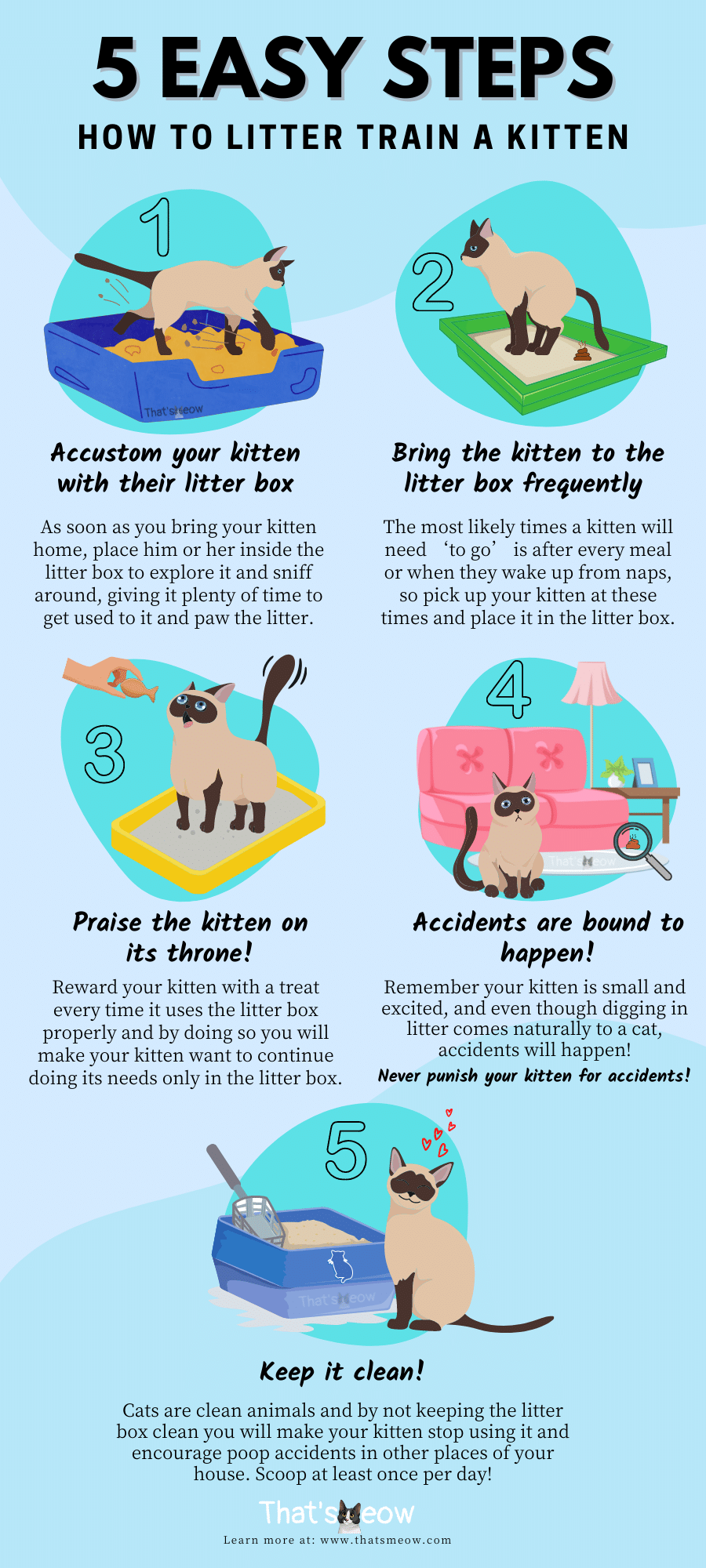 How Long Does It Take to Litter Train a Cat: Quick Guide