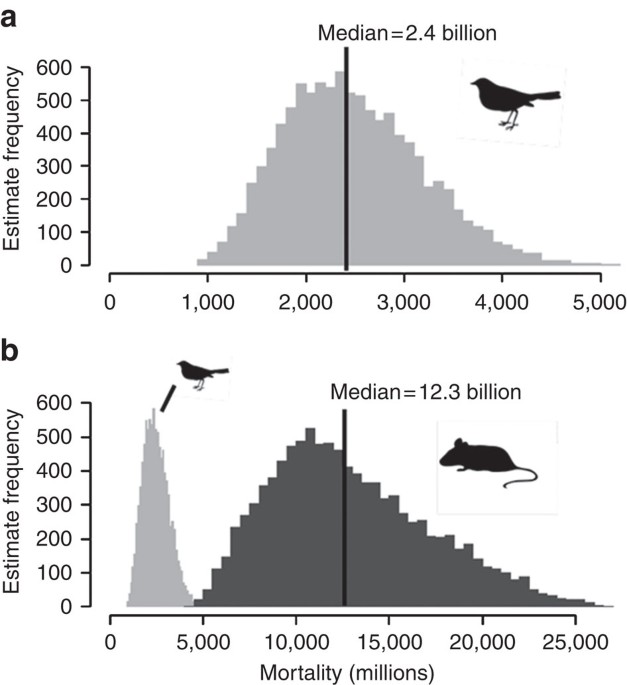 How Many Birds are Killed Each Year by Cats
