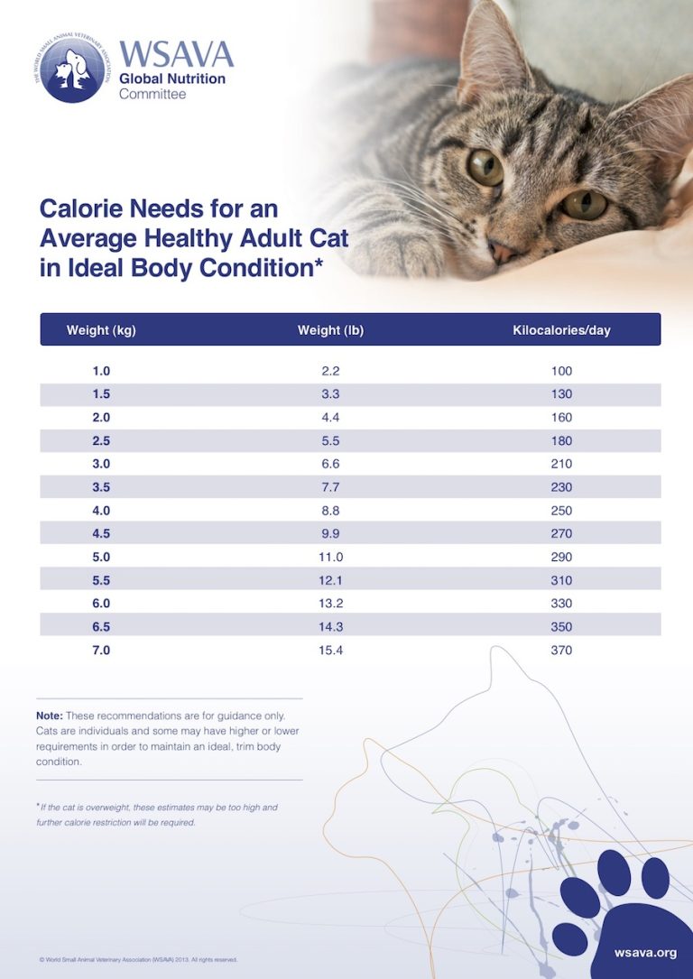 How Many Calories Does My Cat Need Calculator