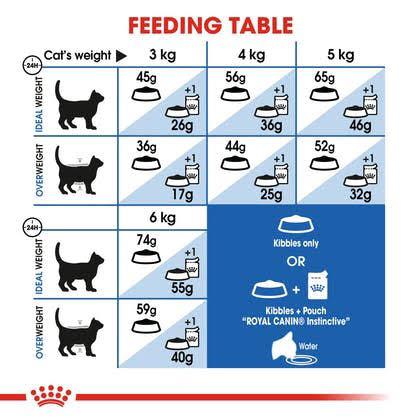 How Many Grams of Cat Food Per Day
