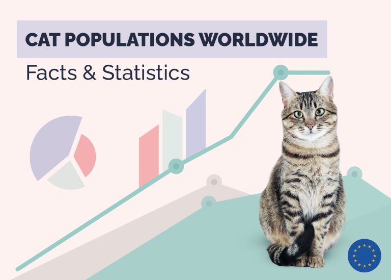 How Many Pet Cats in the World