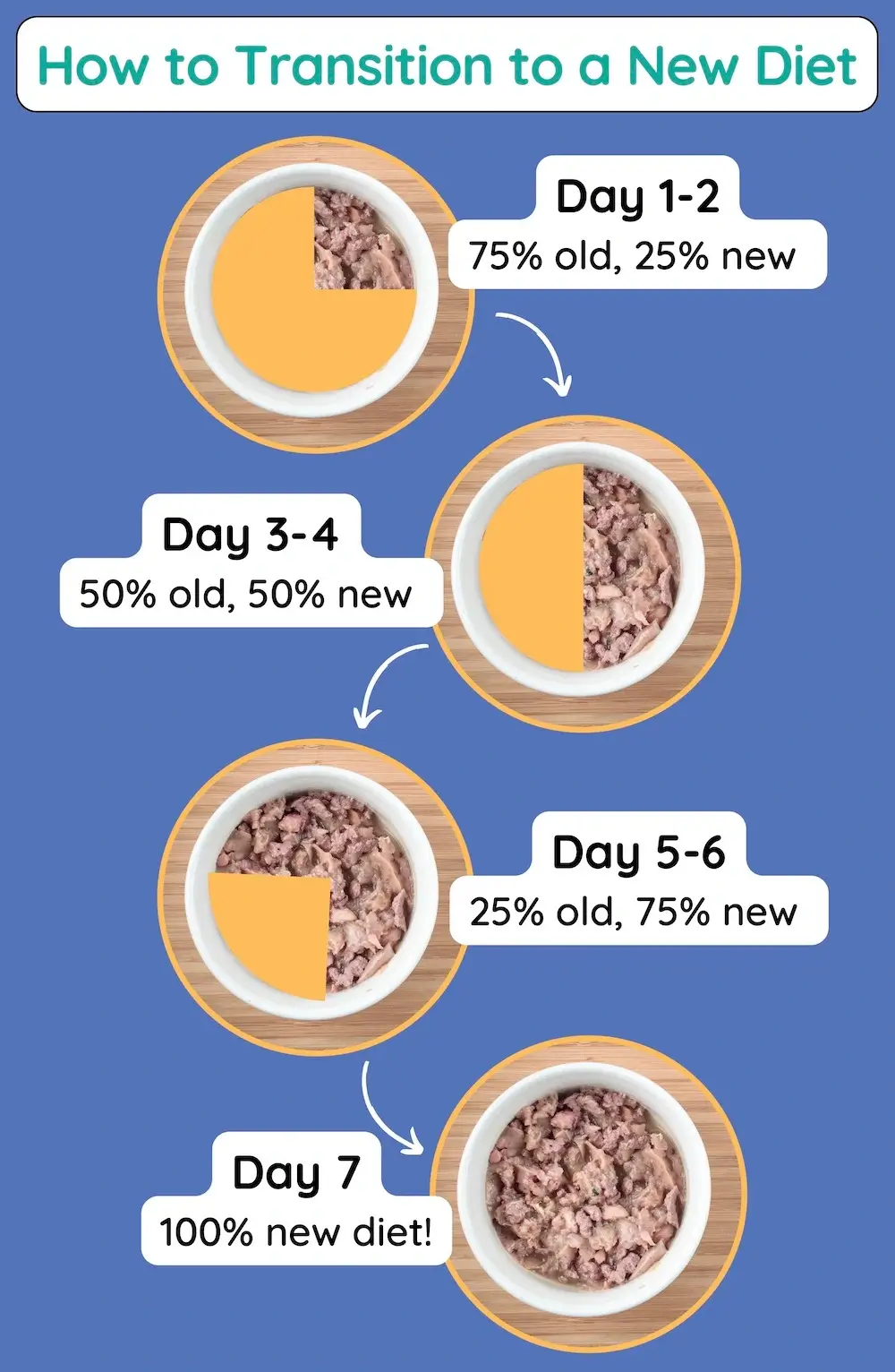 How Much Can Cat Food Per Day: Optimal Feeding Guide