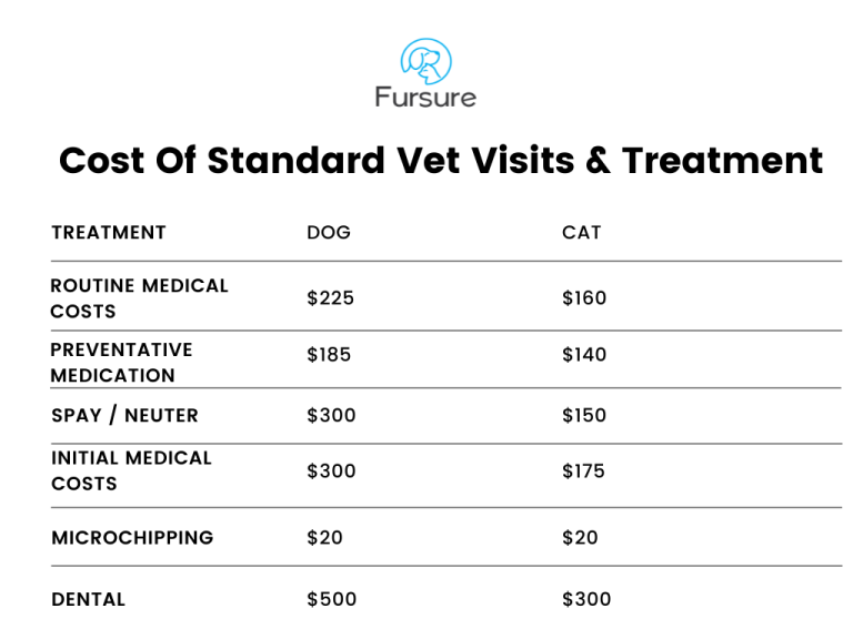 How Much Do Vet Visits Cost for Cats