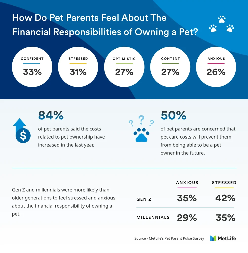 How Much Does a Cat Insurance Cost