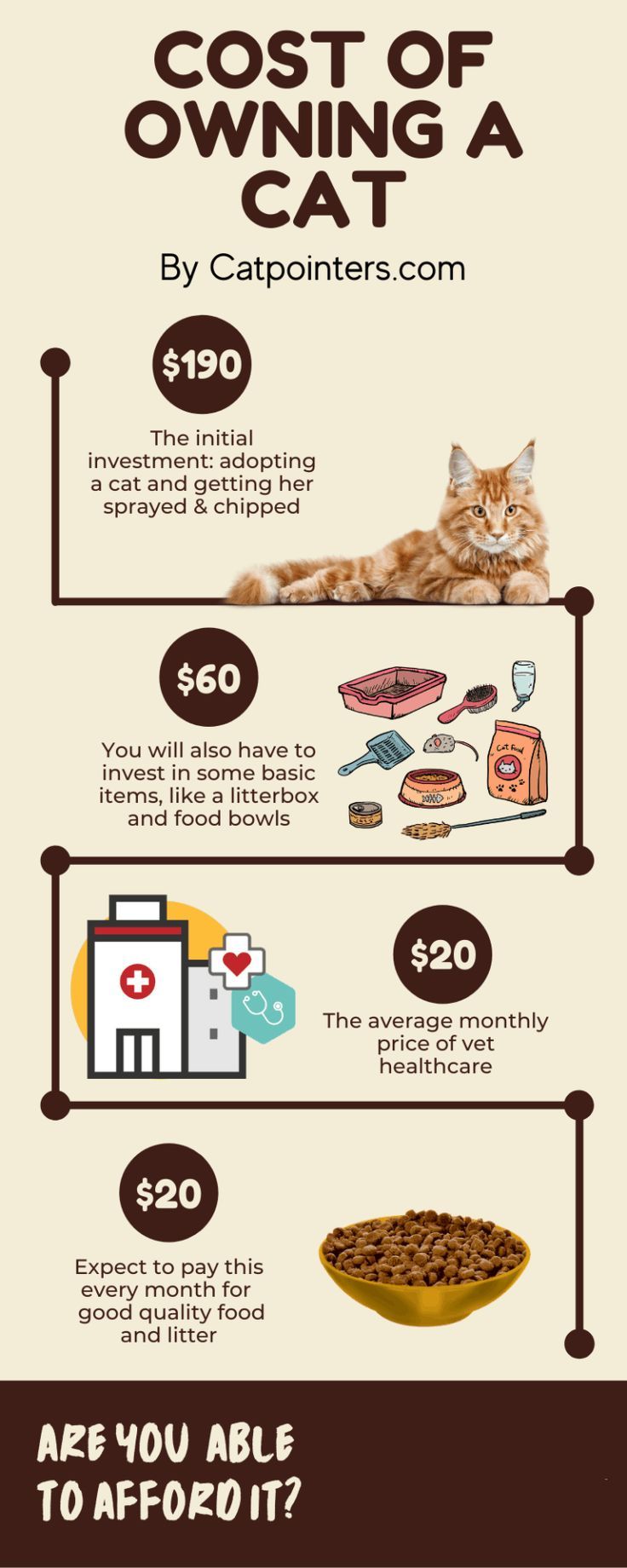 How Much Does Cat Food Cost