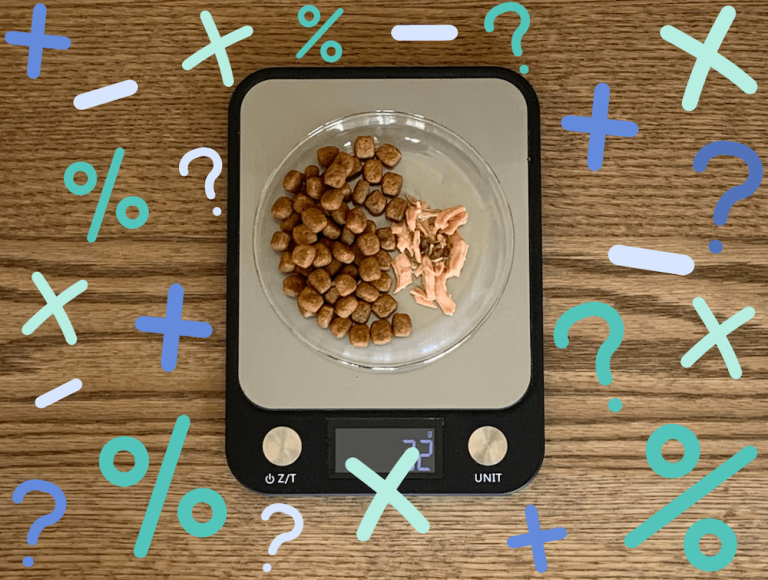 How Much Dry Cat Food Should I Feed My Cat