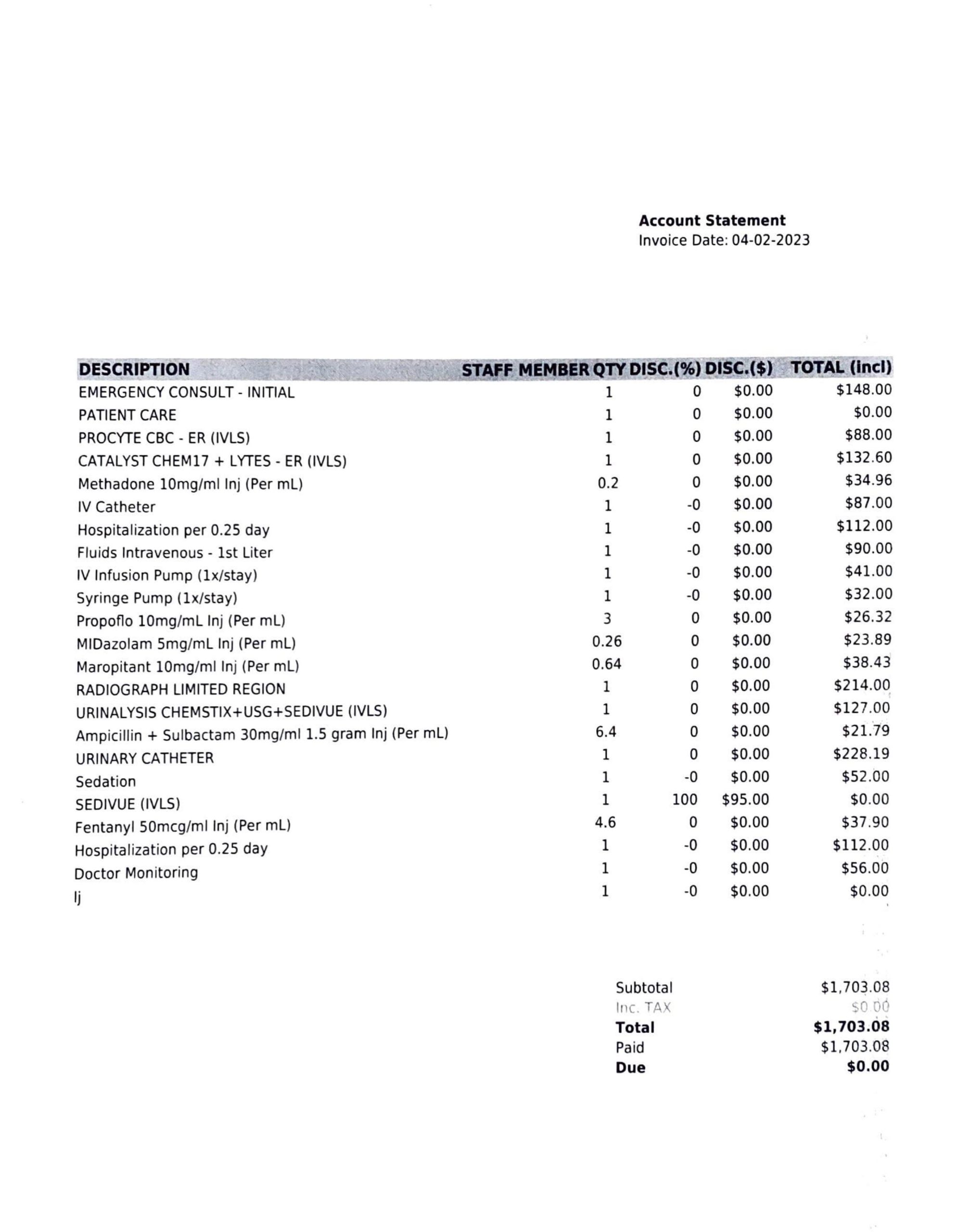 How Much is a Vet Bill for a Cat