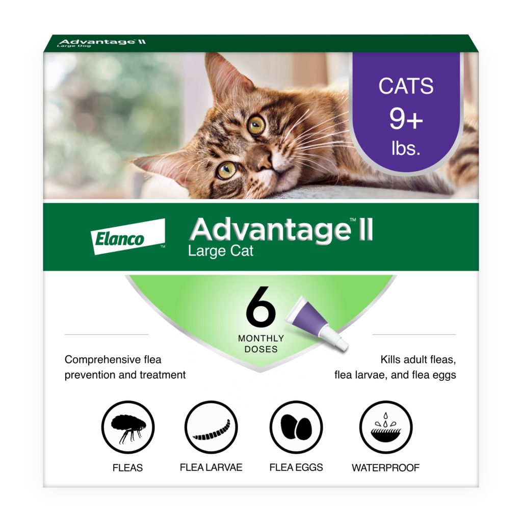 How Much is Flea Treatment for Cats