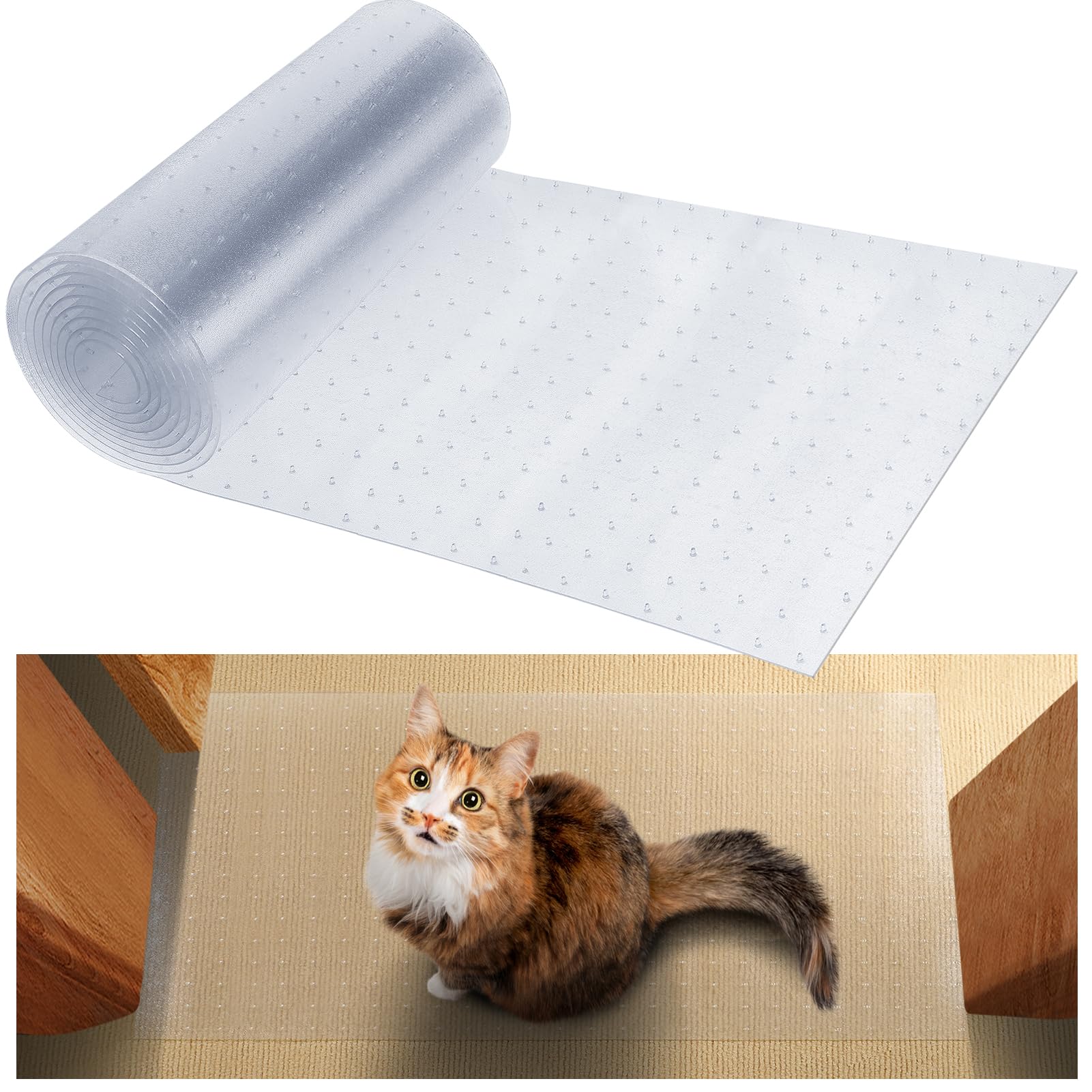 How Protect Carpet from Cats