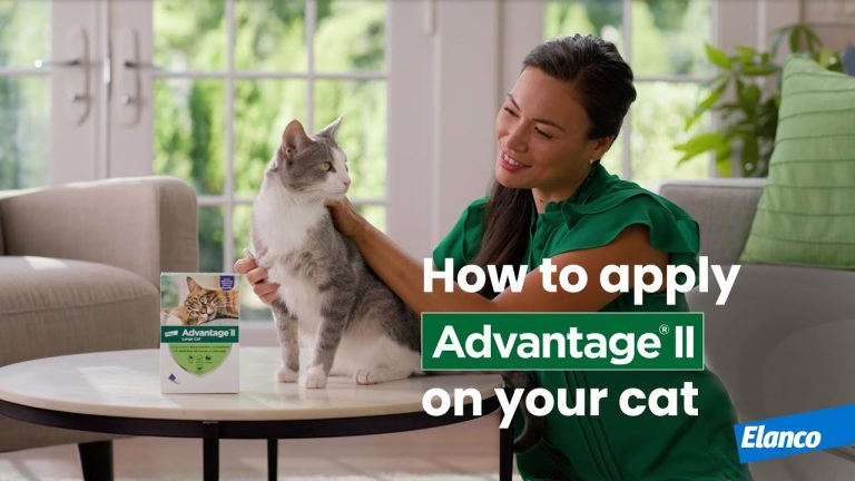How to Apply Advantage Ii on Cats