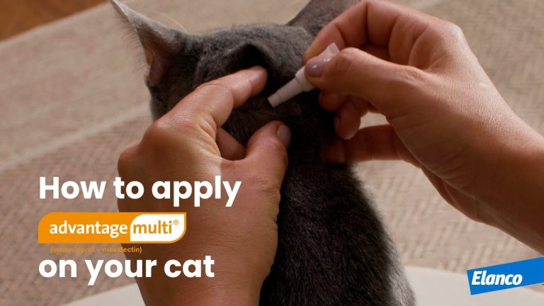How to Apply Advantage on Cats