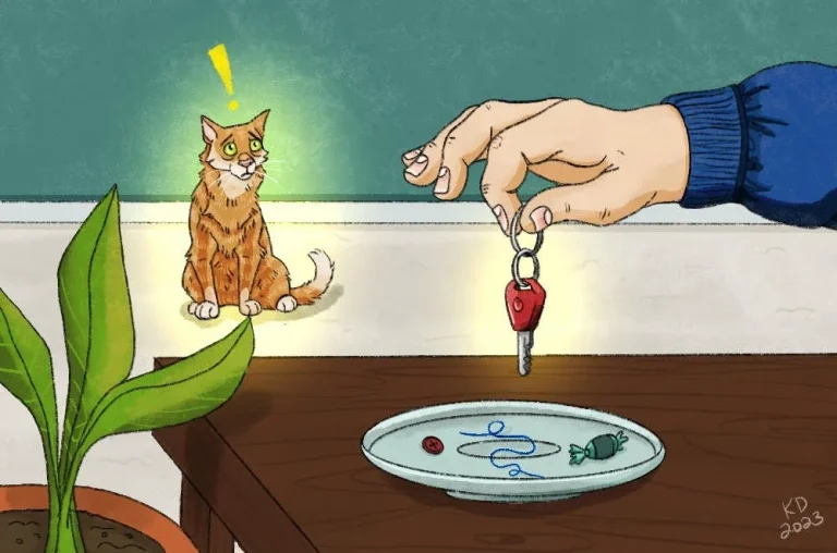 How to Break Separation Anxiety in Cats