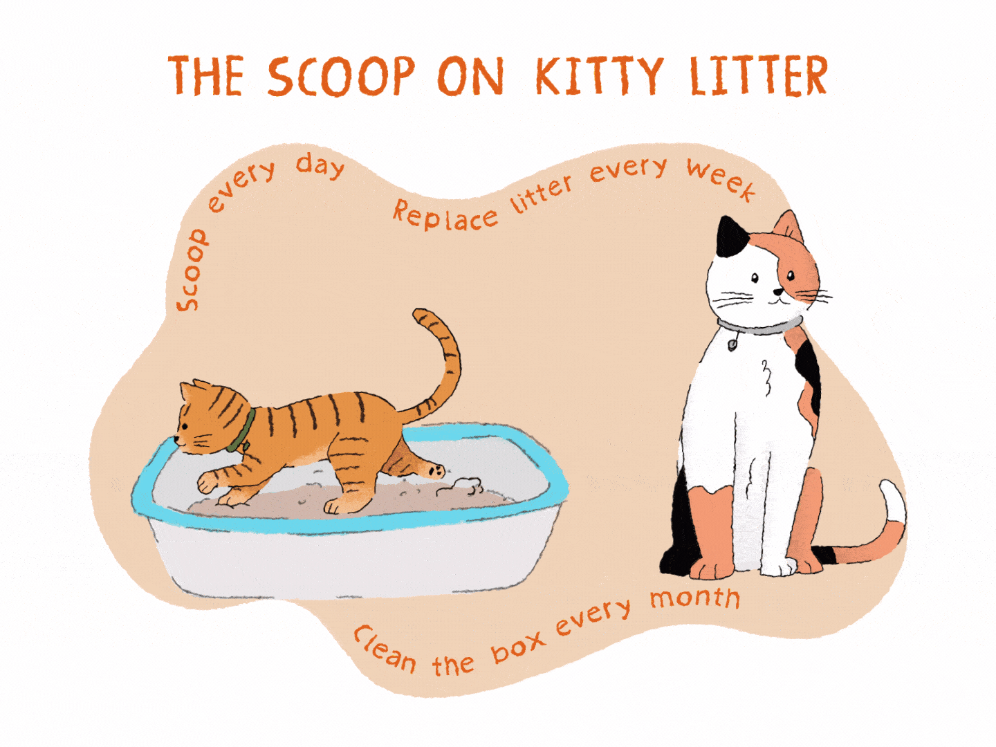 How to Get My Cat to Use the Litter Box: Proven Tips