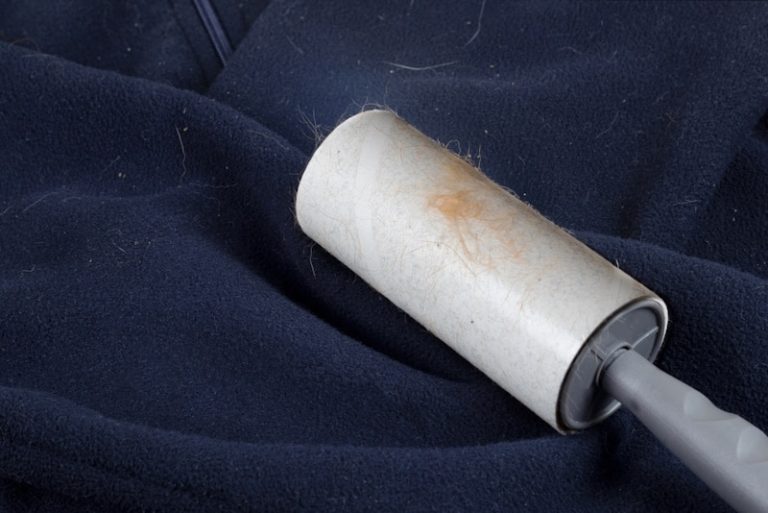 How to Get Rid of Cat Hair on Clothes