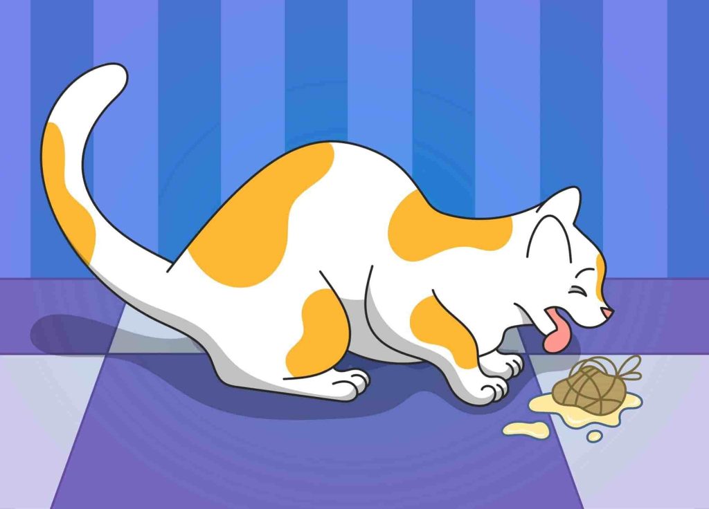 How to Help Cat Get Hairball Out