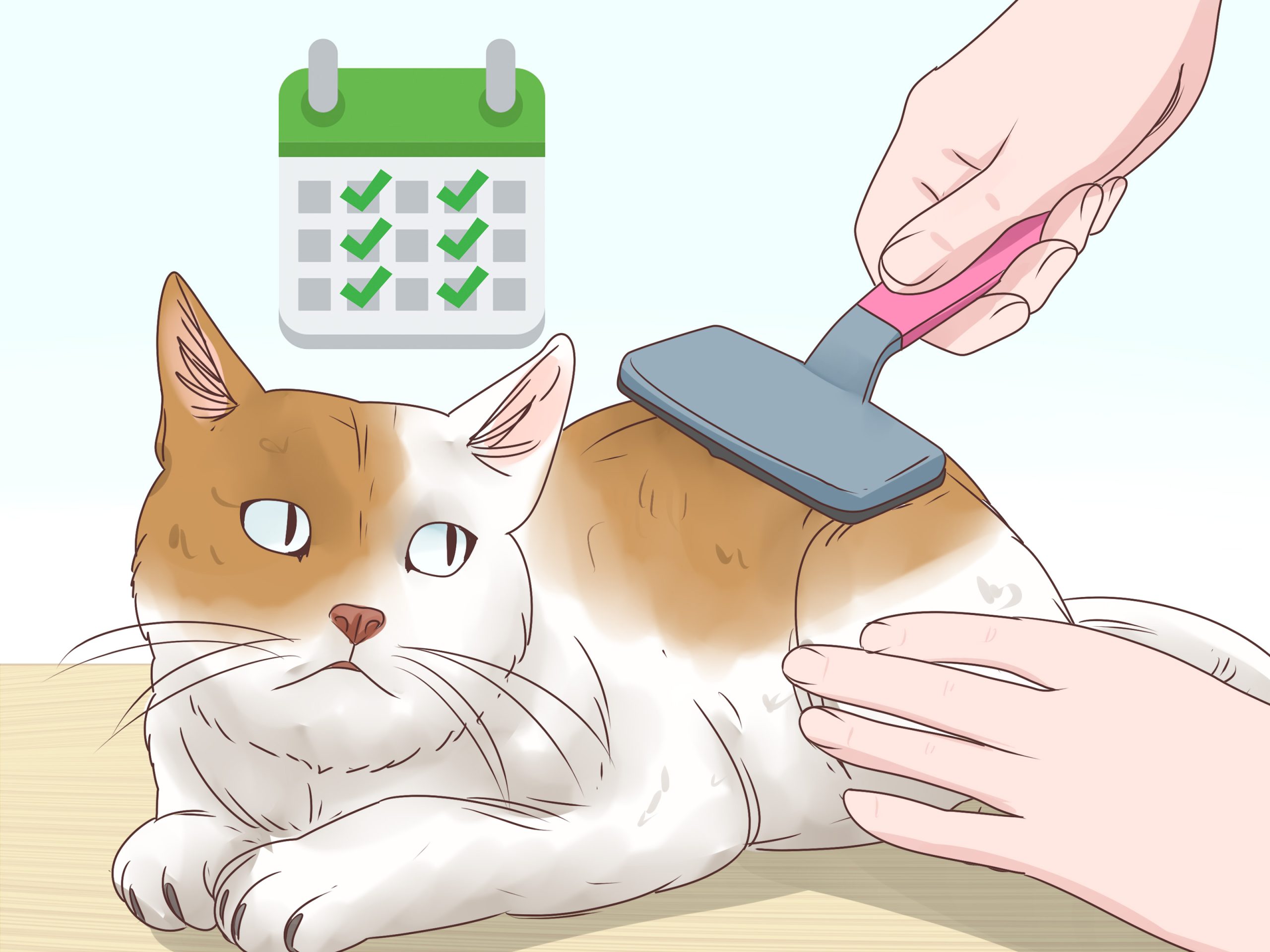 How to Help My Cat With Hairballs: Effective Solutions