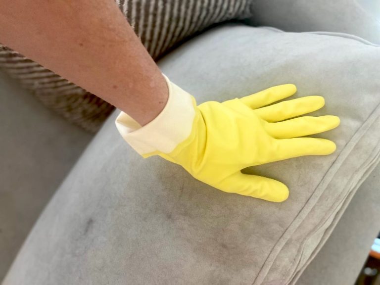 How to Keep Cat Fur off Furniture