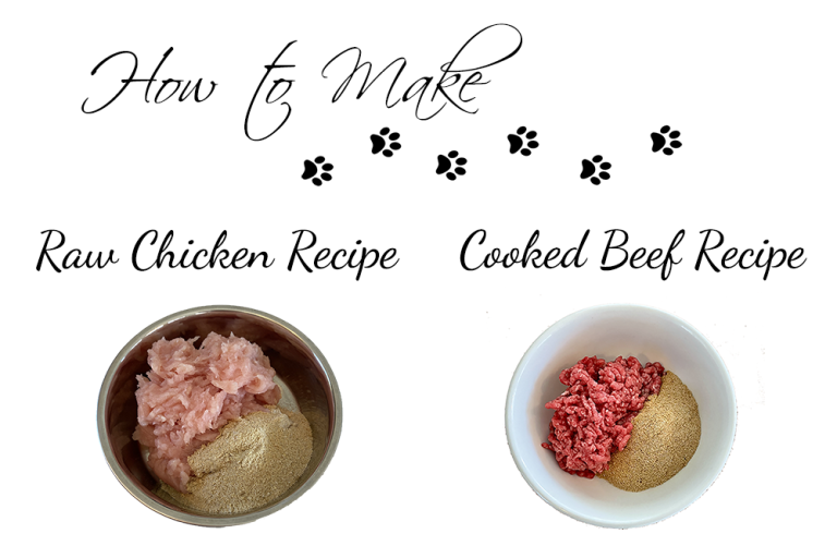 How to Make Cat Food at Home