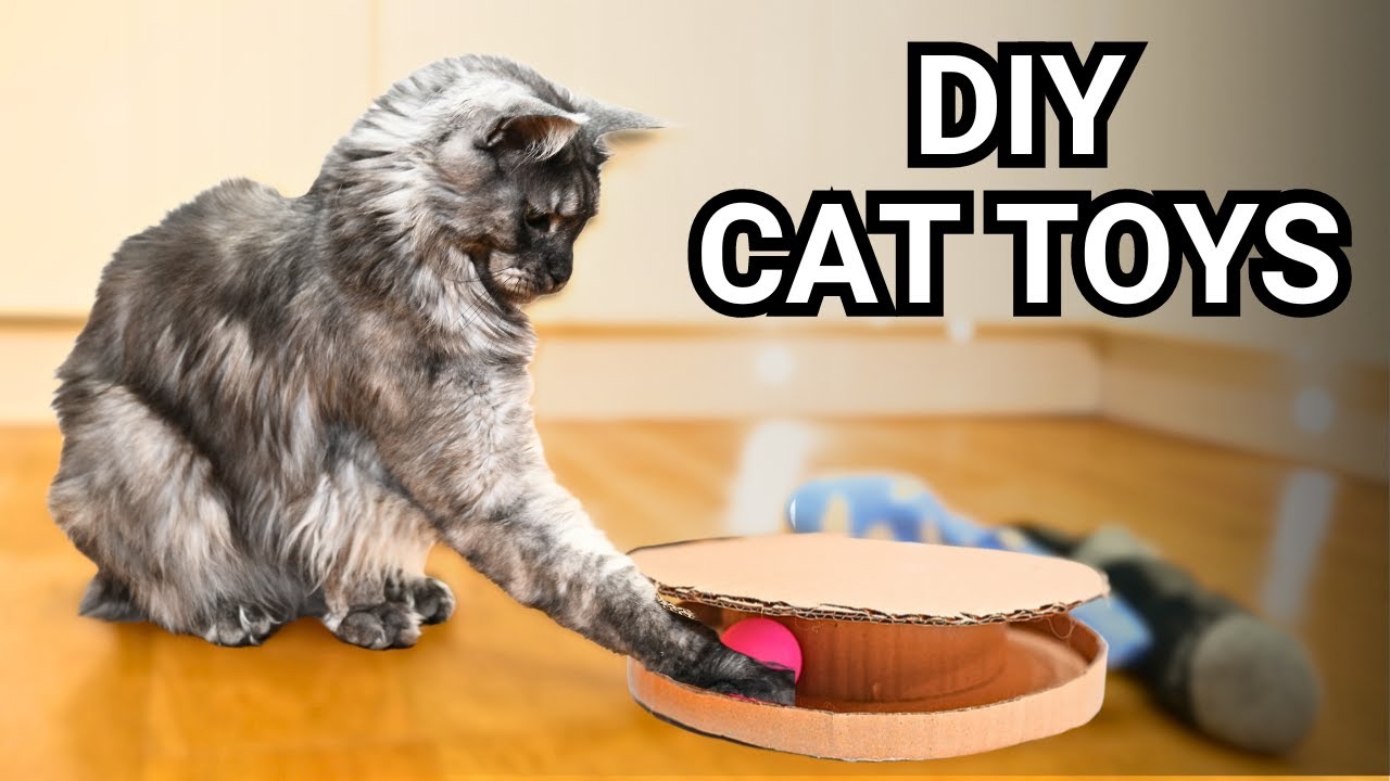How to Make Cat Toys: DIY Fun for Feline Friends