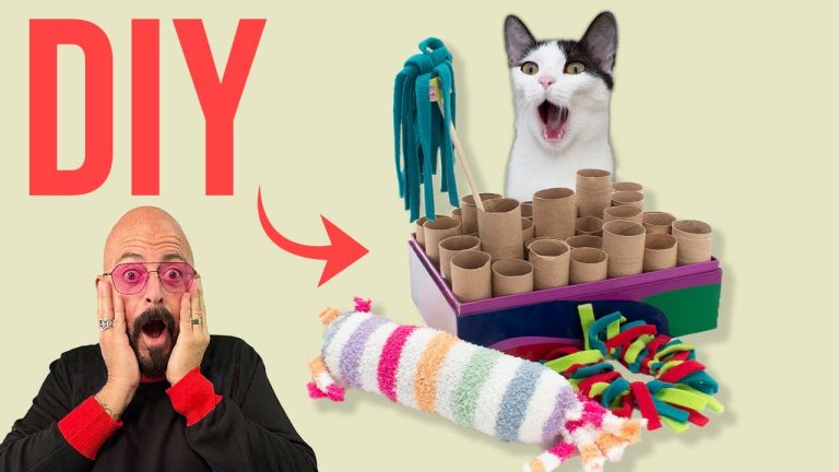 How to Make Diy Cat Toys