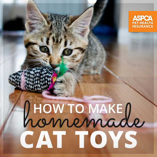 How to Make Homemade Cat Toys
