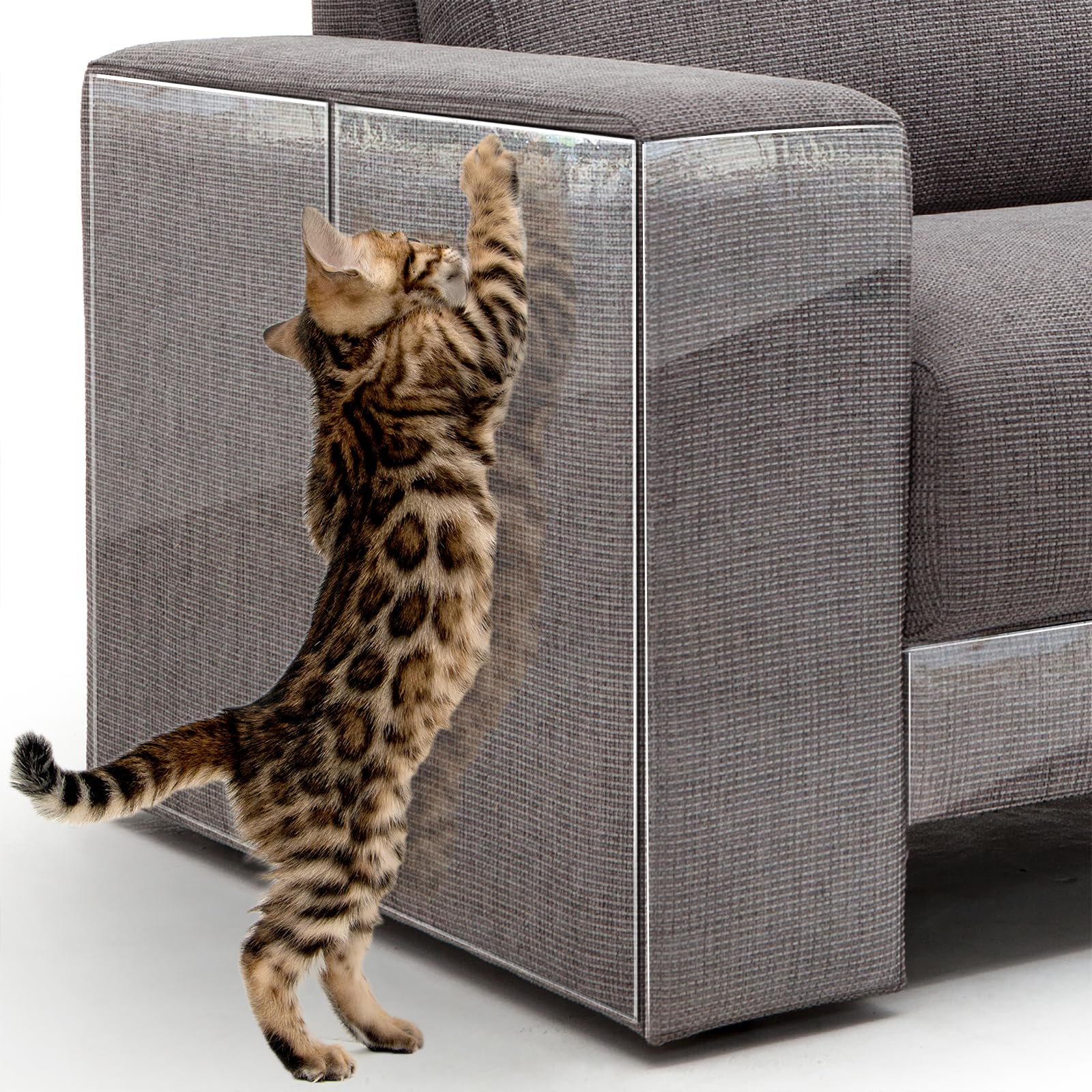 How to Protect Furniture from Cats: Ultimate Guide
