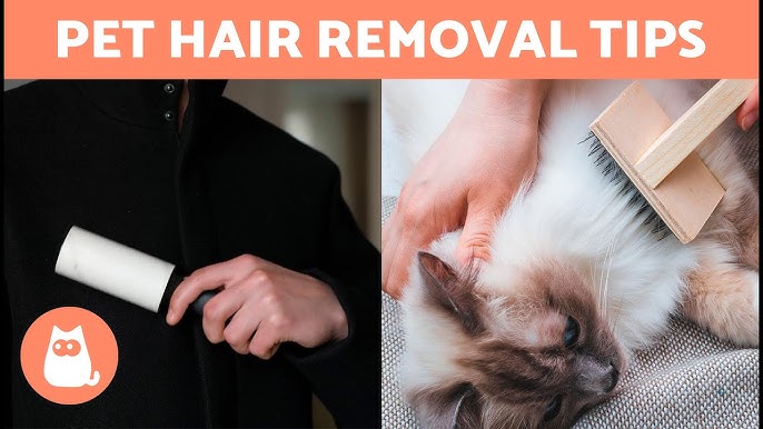 How to Remove Cat Hair from Clothes
