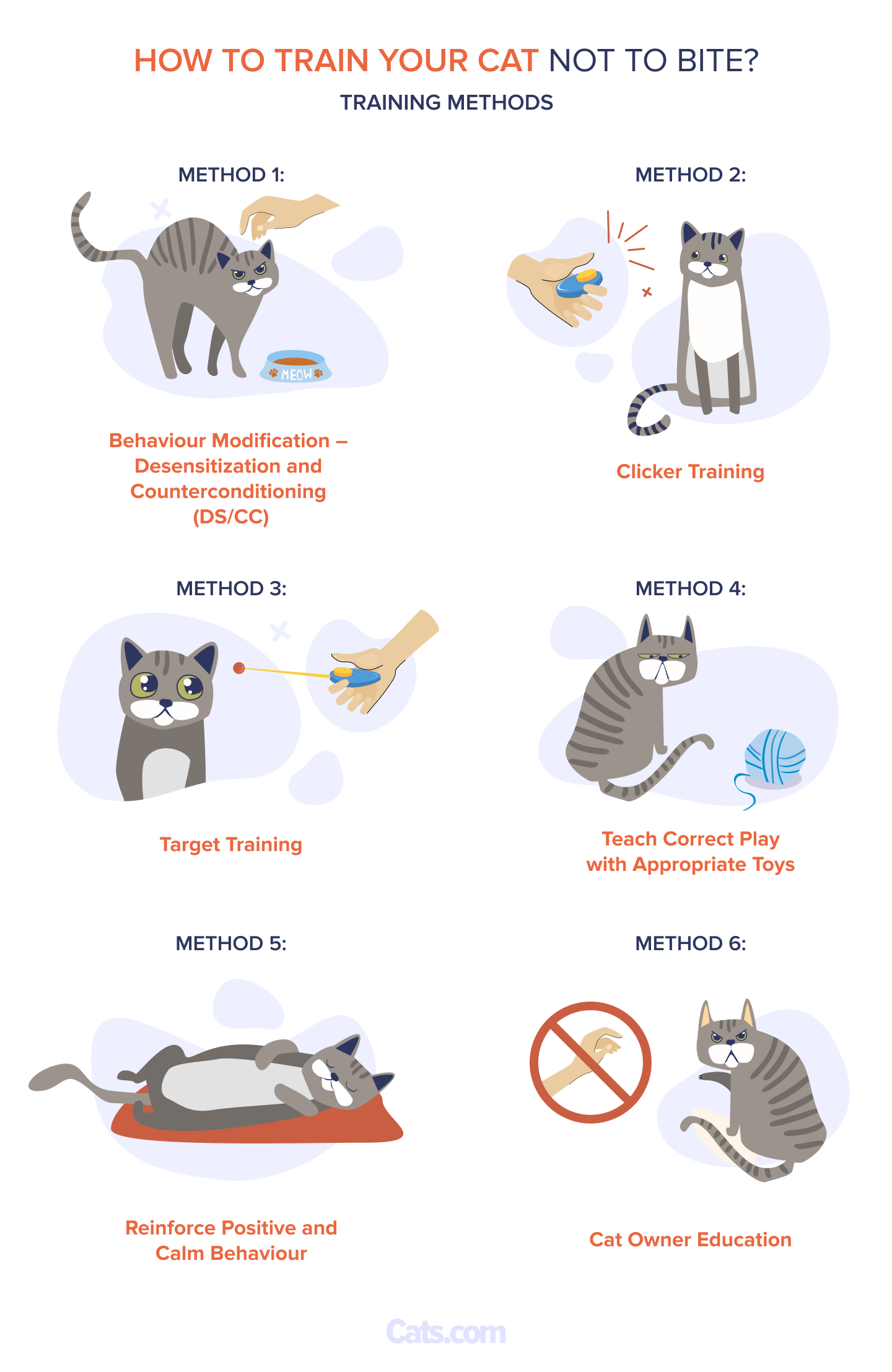How to Train a Cat Not to Bite