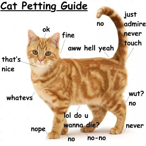 How to Train a Cat