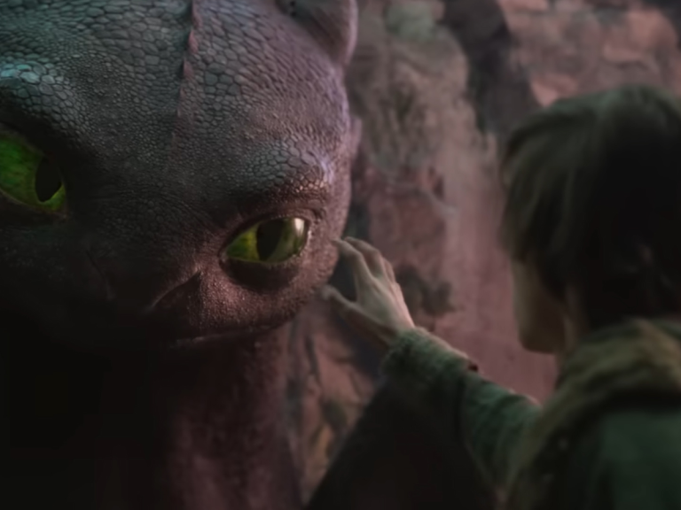 How to Train Your Dragon Live Action Cats