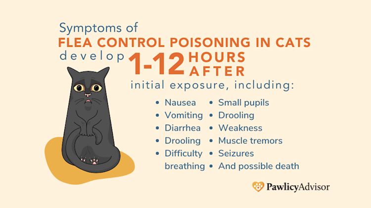 How to Treat Flea Medicine Poisoning in Cats