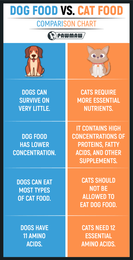 Is Cat Food Ok for Dogs