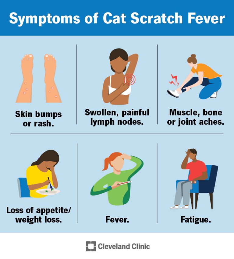 Is Cat Scrat Fever Contagious