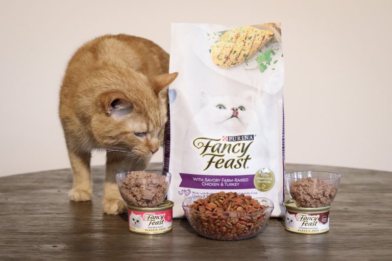 Is Fancy Feast Cat Food Good
