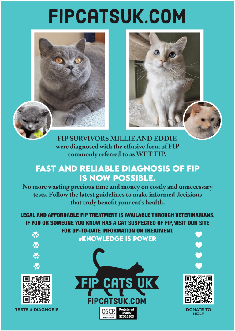 Is Fip in Cats Contagious