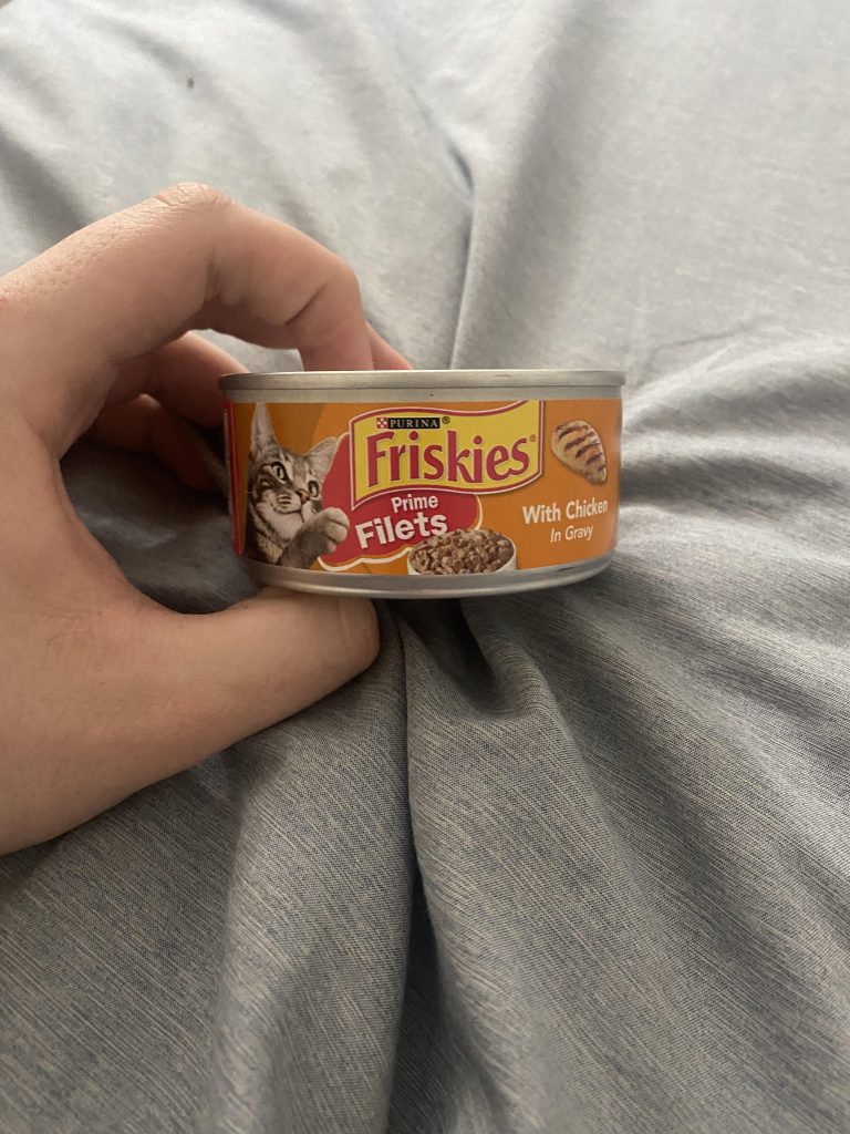 Is One Can of Cat Food Enough for a Day