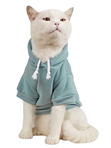 Jackets for Cats